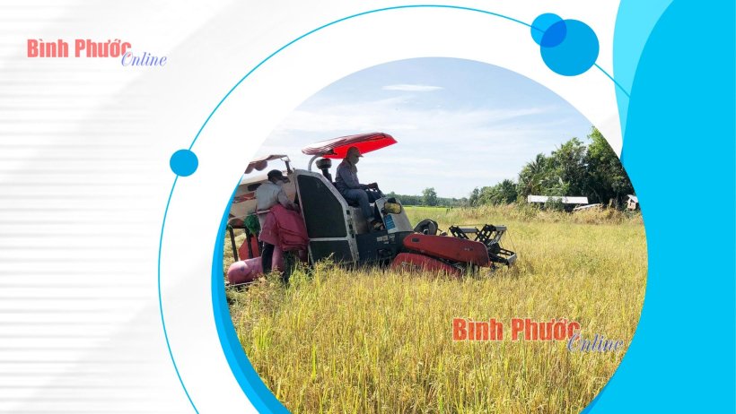 Hơn 19.000 cơ sở sản xuất hưởng lợi sau 10 năm thực hiện khuyến công