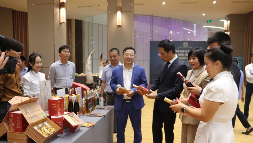 Kết nối cung ứng và tiêu thụ nông sản