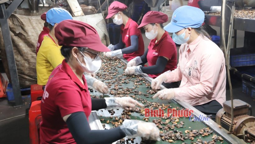 Nỗ lực giải quyết việc làm cho người lao động