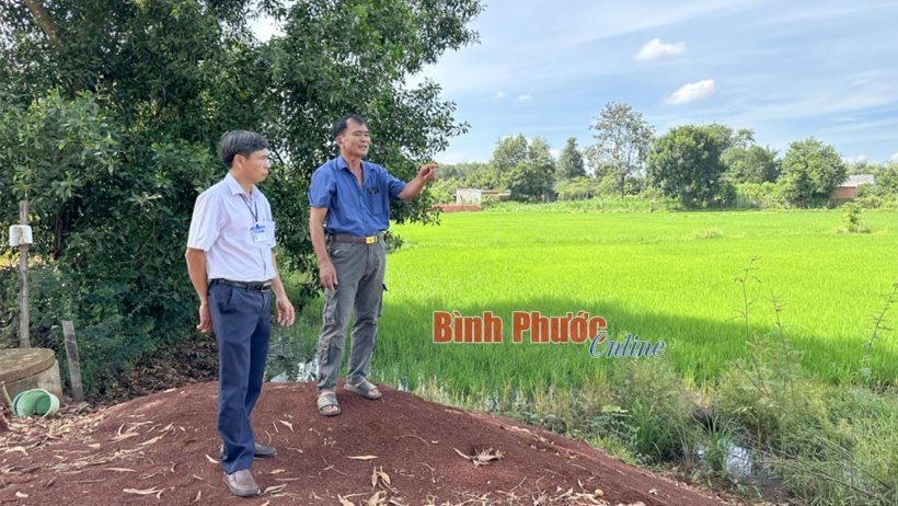 Siết chặt chuyển đổi đất trồng lúa