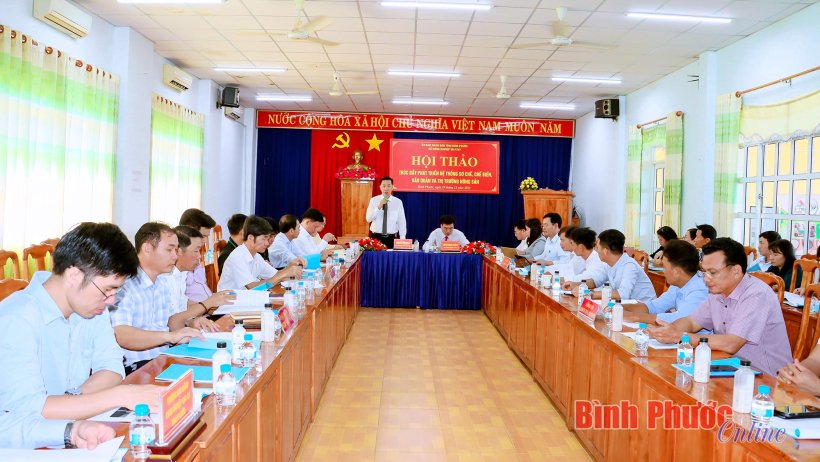 Thúc đẩy phát triển hệ thống sơ chế, chế biến, bảo quản và thị trường nông sản