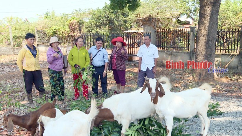 “Tiếp sức” hợp tác xã phát triển