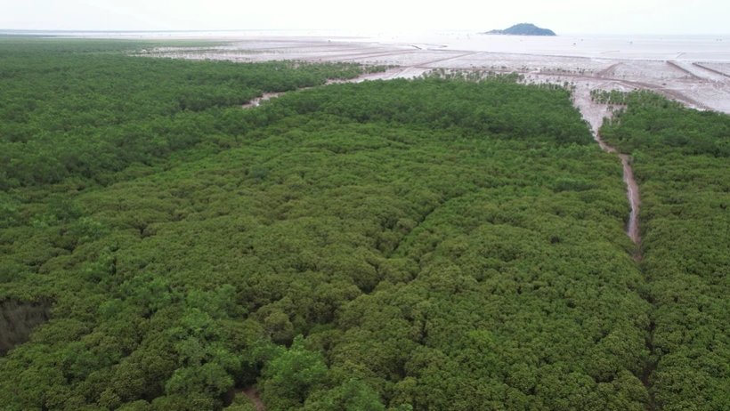 Việt Nam cần sớm xây dựng bản đồ về những khu vực sinh thái tự nhiên