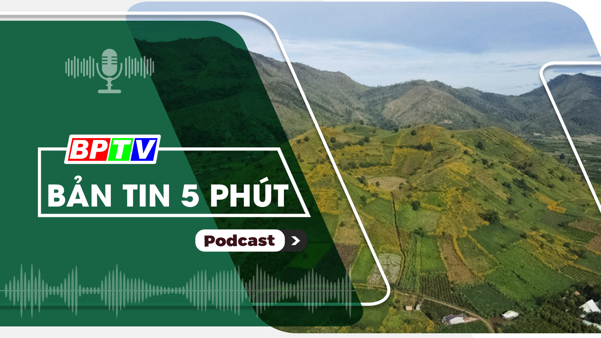 5 phút tối nay 15-12-2024 