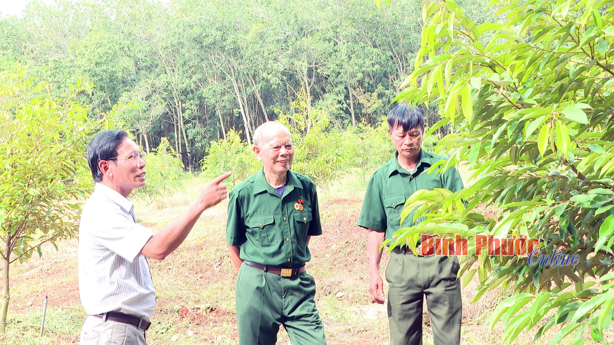 Cựu chiến binh thời bình