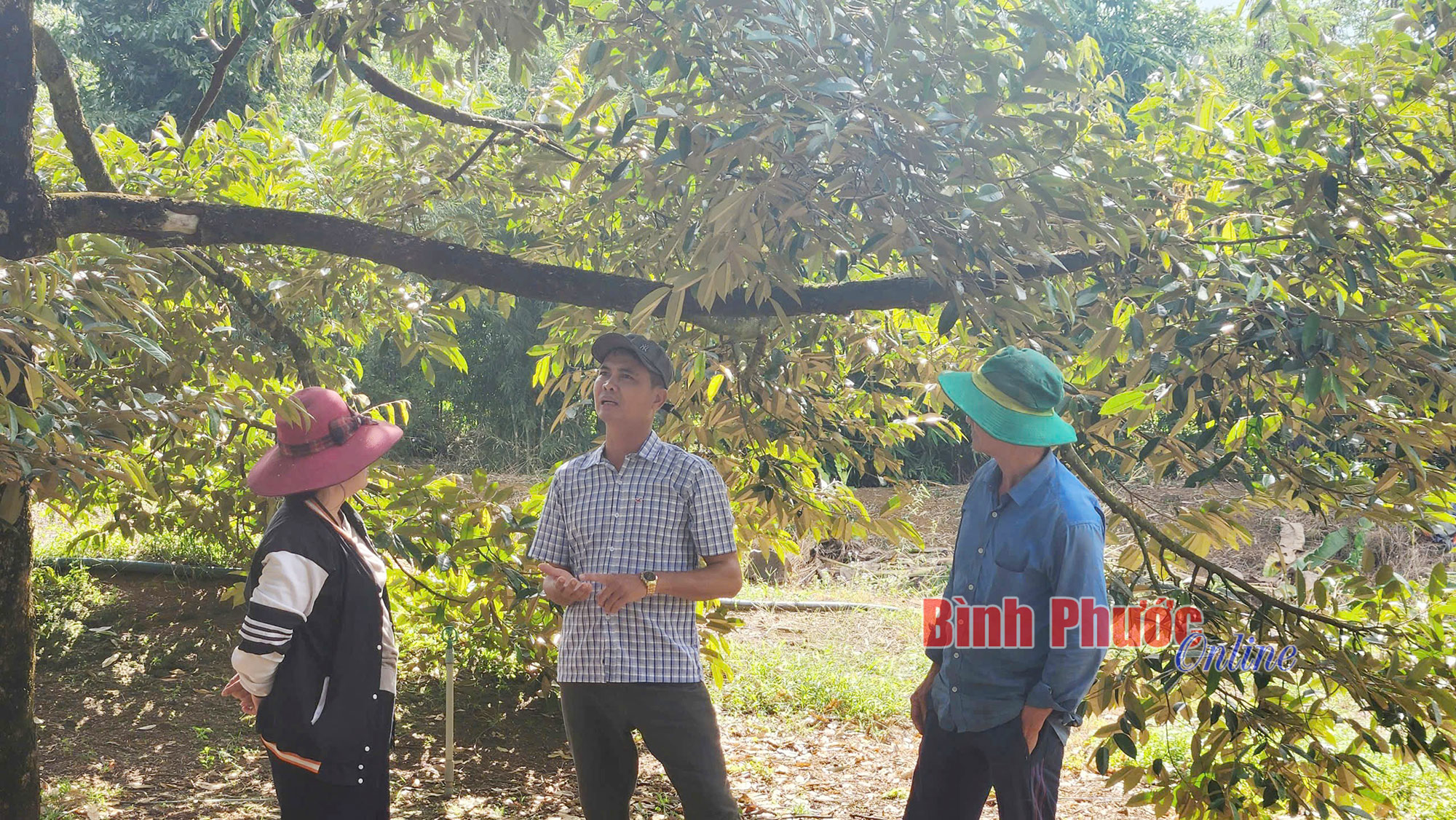 Hướng đến nền nông nghiệp bền vững