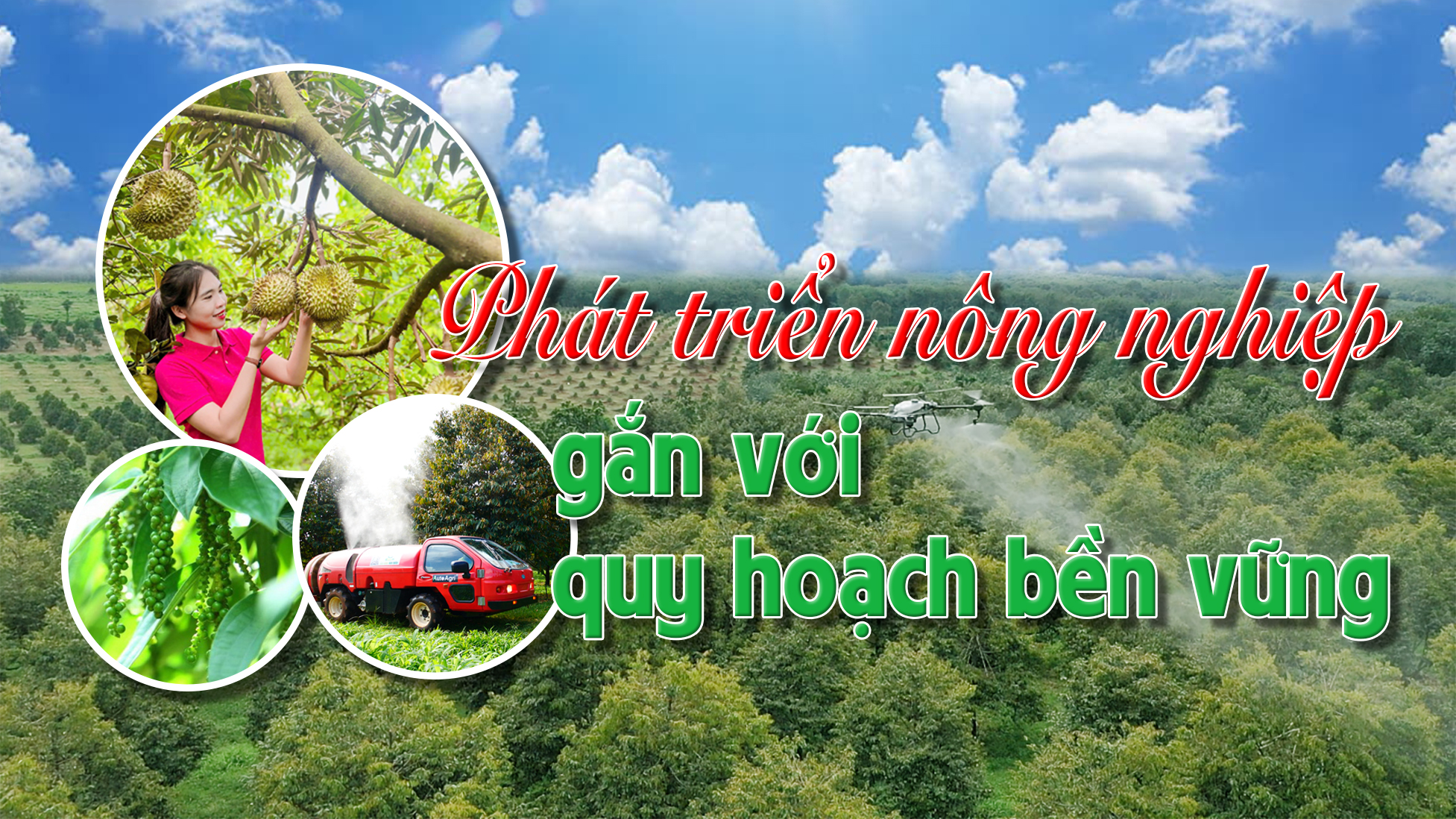 Phát triển nông nghiệp gắn với quy hoạch bền vững