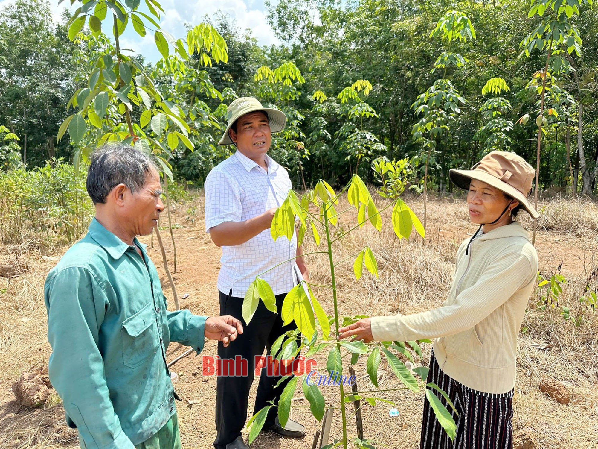 Tận tụy vì dân