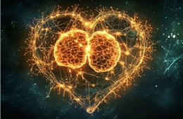 Tim người có 'bộ não' riêng