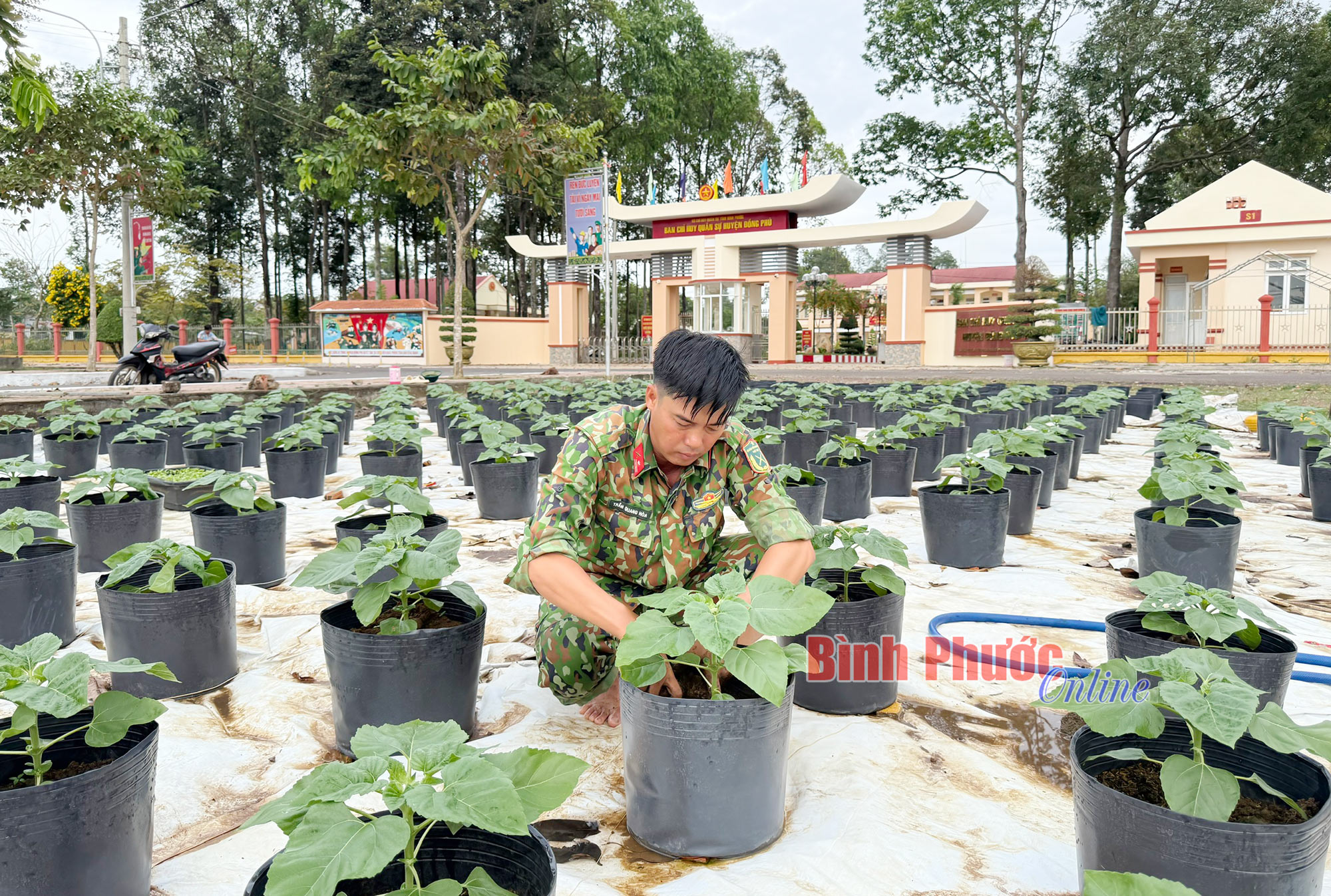 Xây dựng đơn vị chính quy, sạch, đẹp