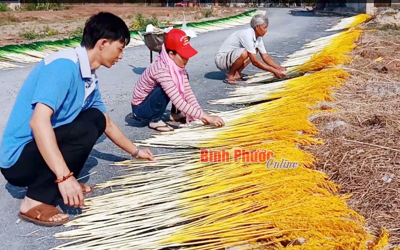 Hoa kh&ocirc; nghệ thuật v&agrave;o tết