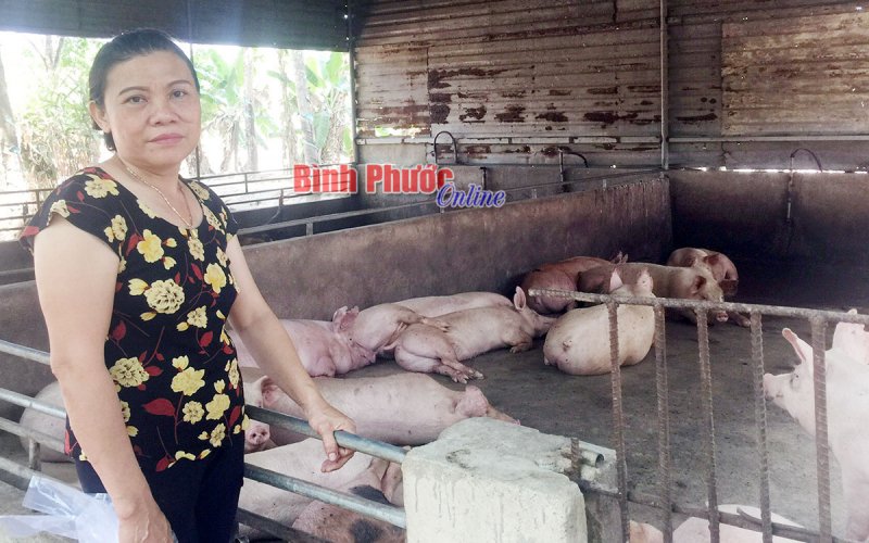 Làm giàu từ sản xuất nông nghiệp