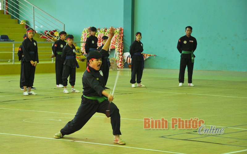 Liên đoàn Võ thuật cổ truyền tổ chức thi thăng cấp đai