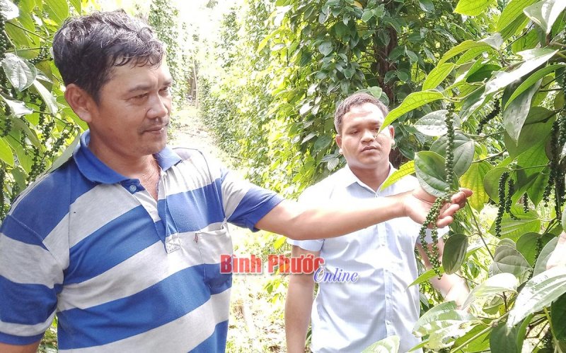 Lộc An nỗ lực giảm nghèo