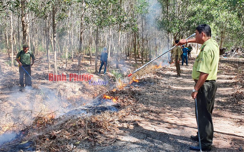Lộc Ninh chủ động phòng, chống cháy rừng