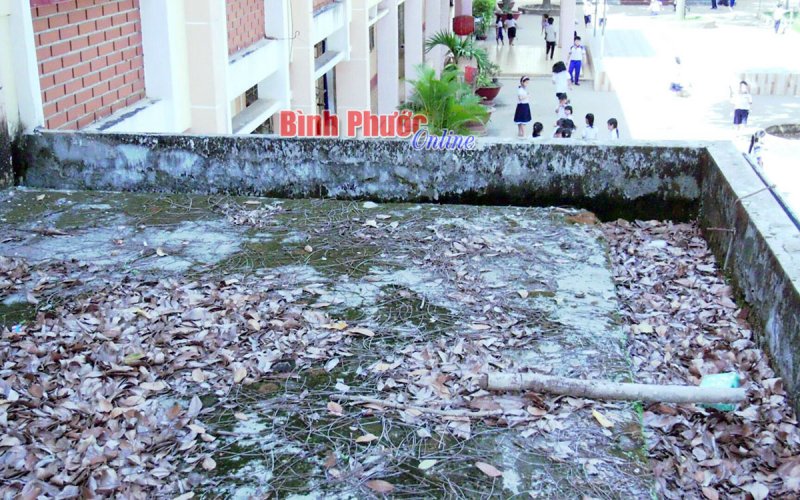 Nâng cao hiệu quả công trình nhờ cải tiến bỏ sê-nô mái