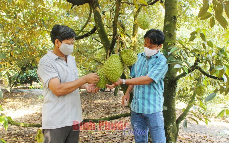 Nhà nông 4.0 chủ động chuyển mình