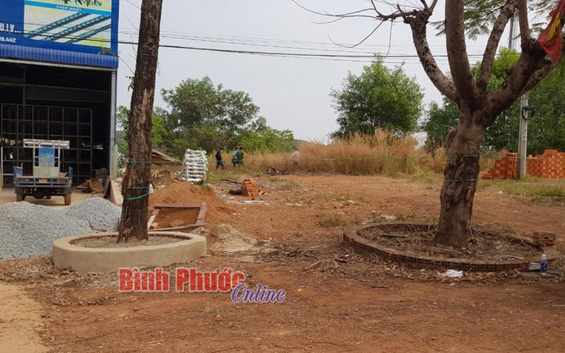 Phát hiện một thi thể người đàn ông đang phân hủy trong bụi cỏ