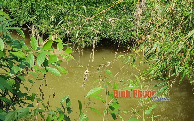 Phát hiện thi thể người đàn ông đang phân hủy dưới suối Rạt