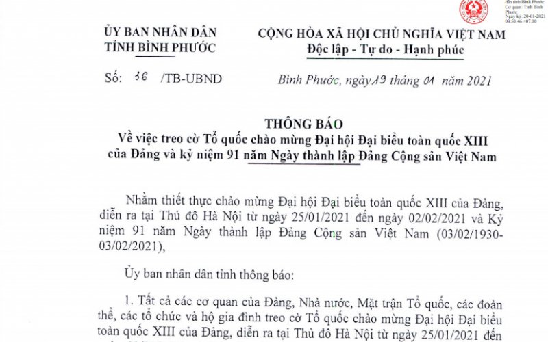 Treo cờ Tổ quốc chào mừng Đại hội lần thứ XIII của Đảng