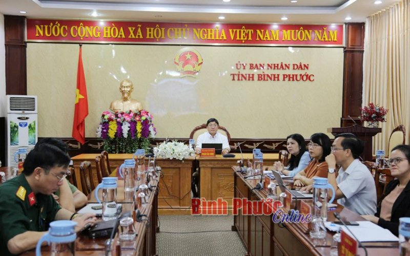 Việt Nam quyết tâm thực hiện Chính phủ điện tử, Chính phủ số