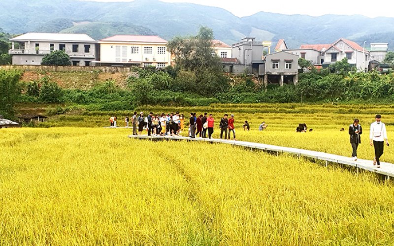 Xây dựng nền tảng kinh tế nông nghiệp bền vững