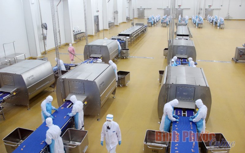 Bình Phước 25 năm hành trình khát vọng vươn lên - Kỳ 2