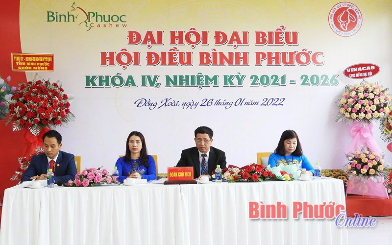 Bình Phước phải là hạt nhân tích cực trong ngành điều Việt Nam