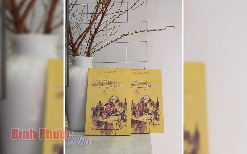 C&oacute; những ng&agrave;y ch&ocirc;ng ch&ecirc;nh giữa phố