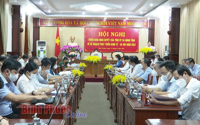 Năm 2021, Bình Phước có mức tăng trưởng kinh tế cao nhất vùng Đông Nam bộ 