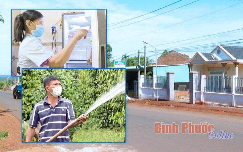 Niềm vui mùa xuân mới