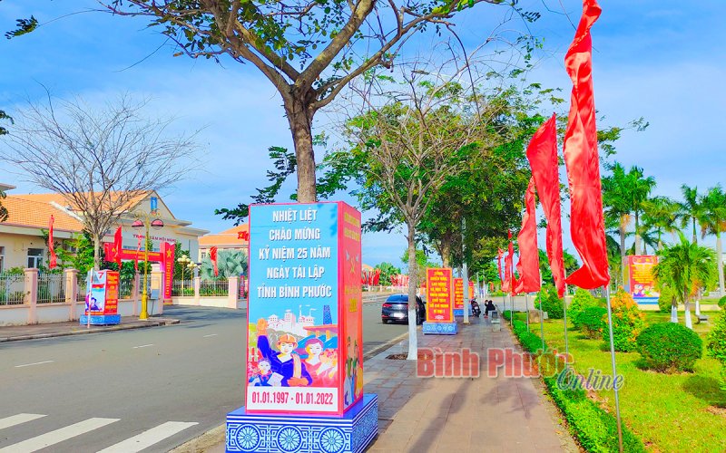 Phước Long rực rỡ cờ hoa chào mừng các ngày kỷ niệm, lễ lớn 