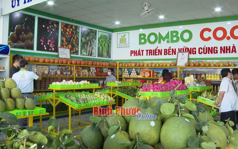 Ra mắt Hợp tác xã thương mại, dịch vụ Bom Bo Bình Phước 