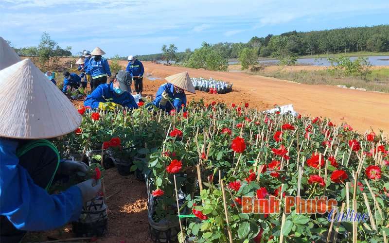 Tạo điểm nhấn cho th&agrave;nh phố v&agrave;o xu&acirc;n