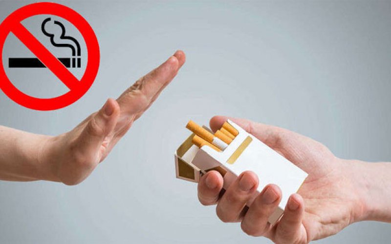 V&igrave; một thế giới trong l&agrave;nh