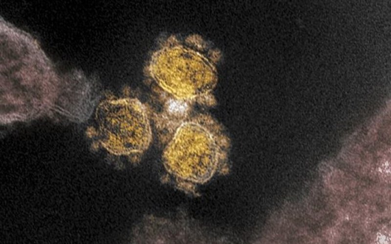 WHO lý giải các nguyên nhân khiến biến thể Omicron lây lan mạnh