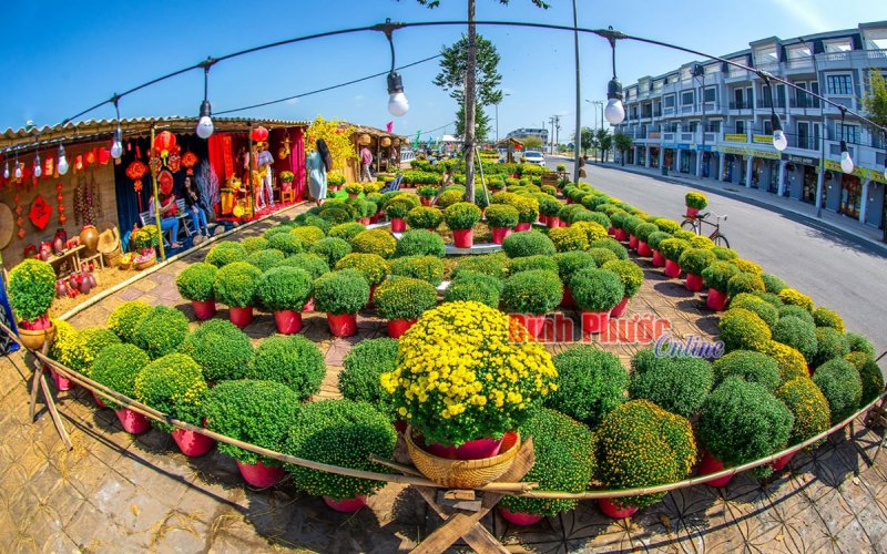 Xu&acirc;n về tr&ecirc;n đất Hậu Giang