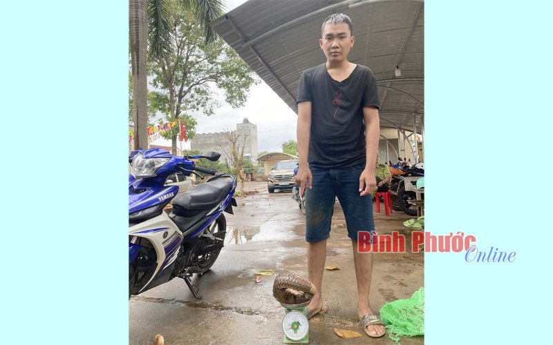 Bình Phước: Bắt giữ đối tượng vận chuyển động vật nguy cấp quý hiếm