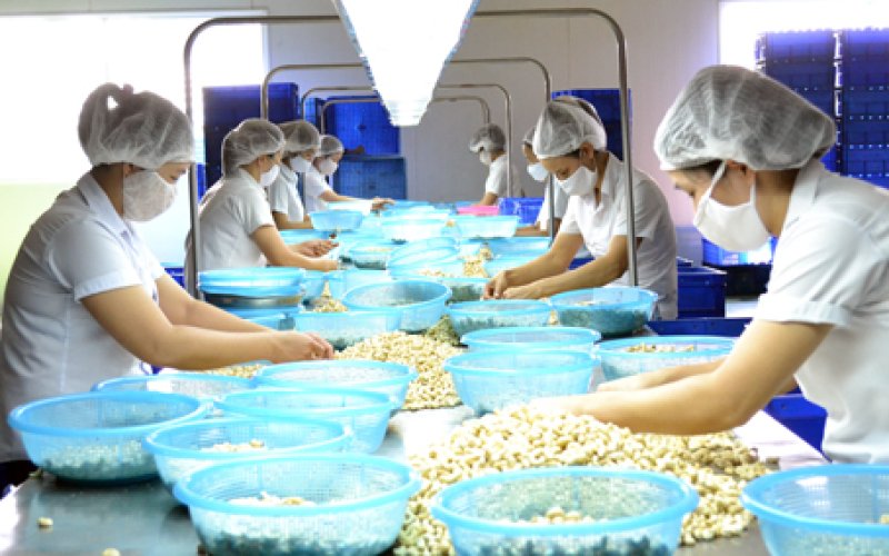 Chủ trương của Tỉnh ủy về phát triển công nghiệp đến năm 2030