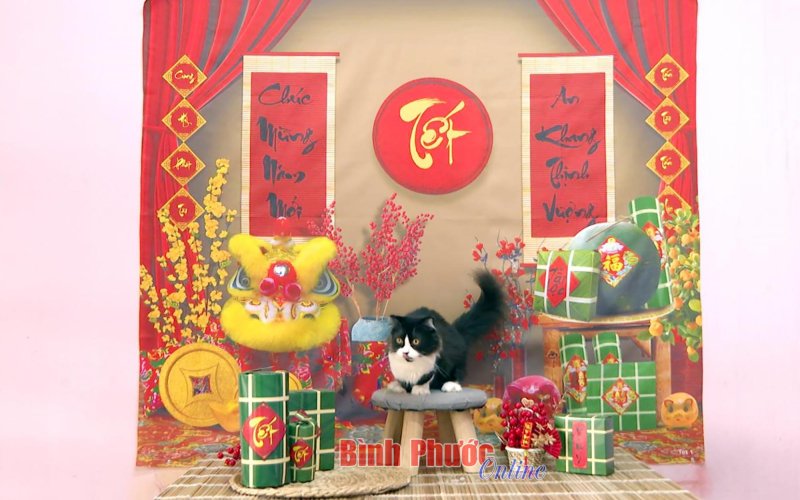 Đầu năm n&oacute;i chuyện nu&ocirc;i m&egrave;o