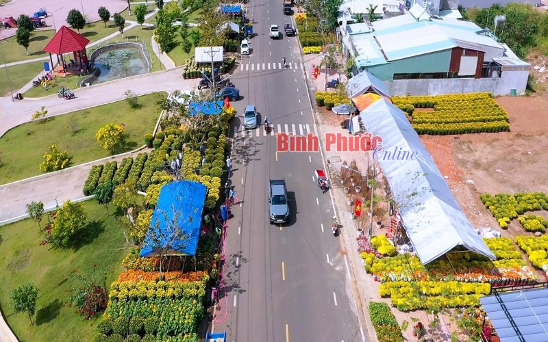 Đồng Xoài: 199 gian hàng tham gia hội chợ hoa xuân Quý Mão 2023 