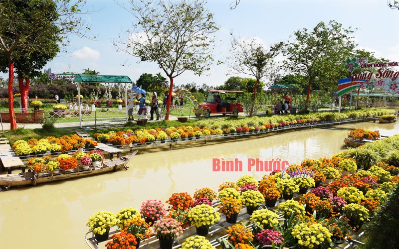 Du lịch n&ocirc;ng nghi&ecirc;̣p Đ&ocirc;̀ng Tháp r&ocirc;̣n ràng vào xu&acirc;n