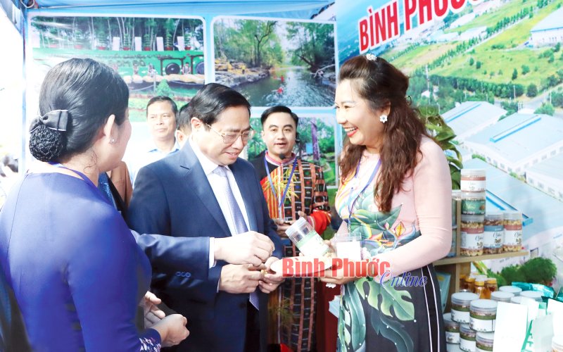 HAMY và tầm nhìn tương lai