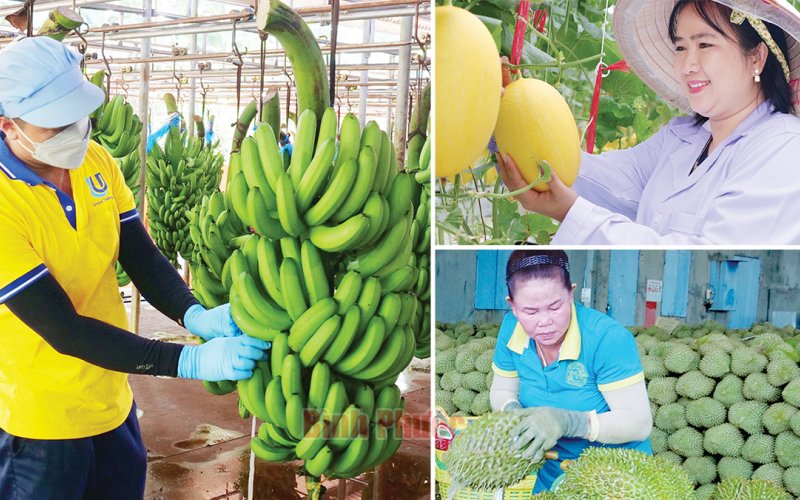 Khát vọng giá trị nông sản Việt