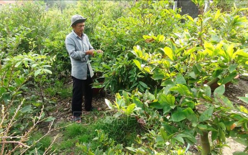 Không xây dựng nông thôn mới theo kiểu 'mặc đồng phục'