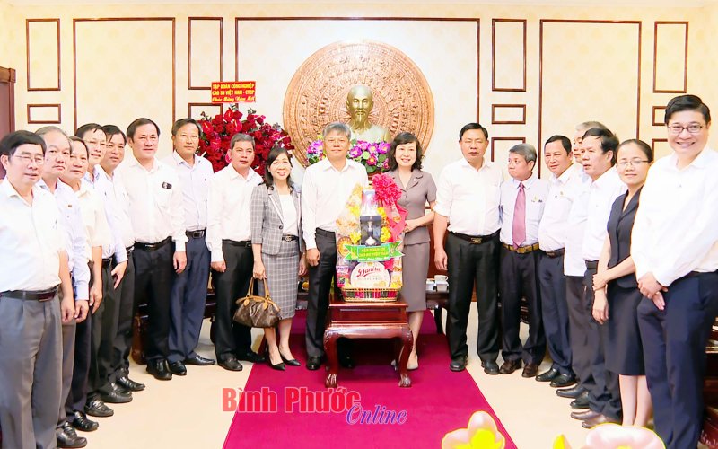 Lãnh đạo Tập đoàn Công nghiệp cao su Việt Nam chúc tết Tỉnh ủy, UBND tỉnh