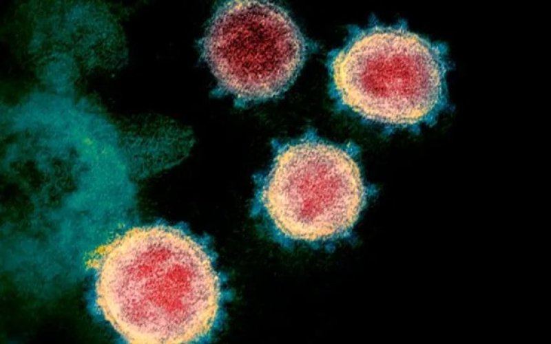 Mở rộng giải tr&igrave;nh tự gene với virus g&acirc;y bệnh h&ocirc; hấp ngo&agrave;i COVID-19