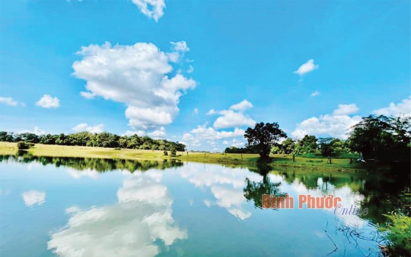 Nền tảng và động lực