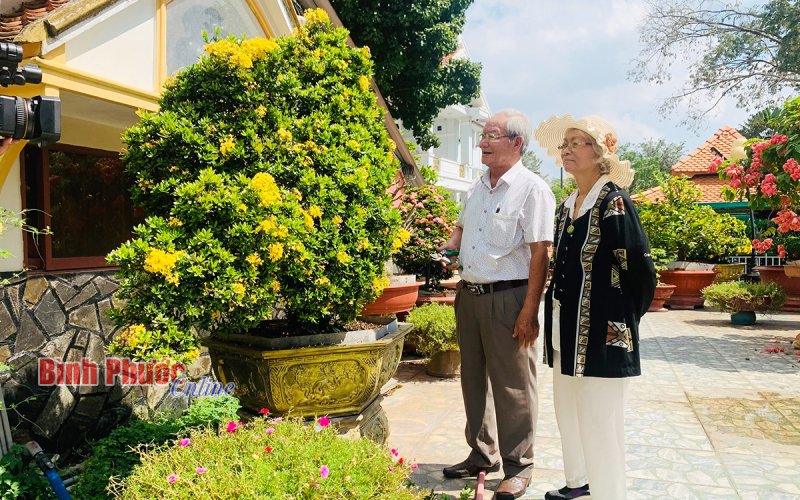 Người con xứ Quảng