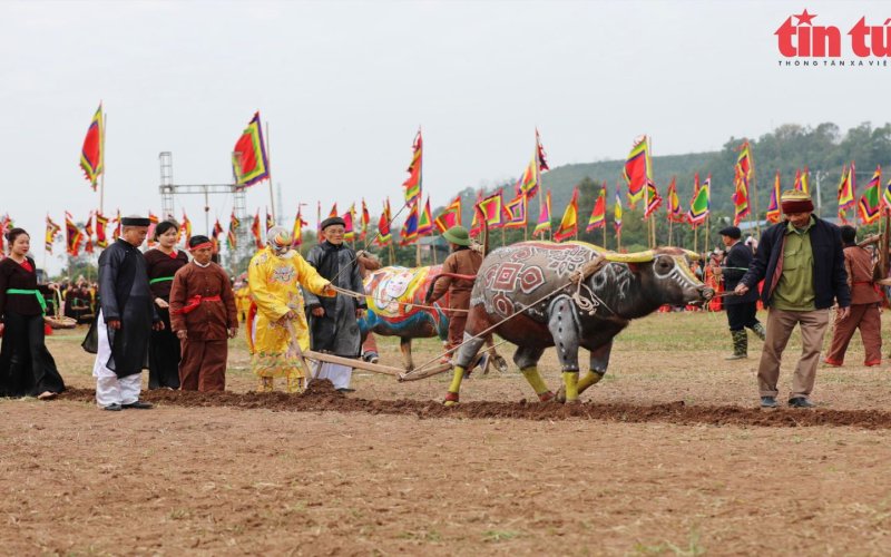 T&aacute;i hiện nghi lễ vua L&ecirc; Đại H&agrave;nh c&agrave;y Tịch điền tại Lễ hội Tịch điền Đọi Sơn 2023